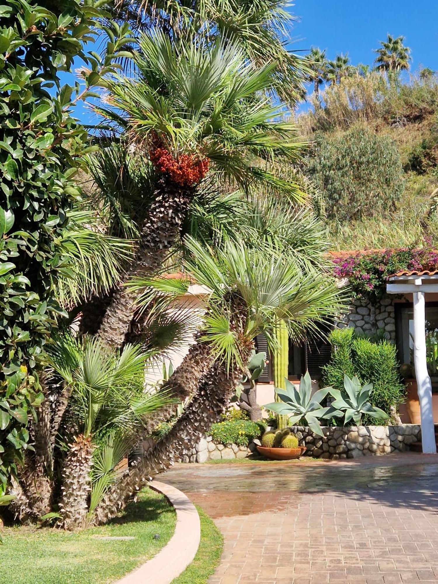 Hotel Villaggio Cala Di Volpe Capo Vaticano Bagian luar foto